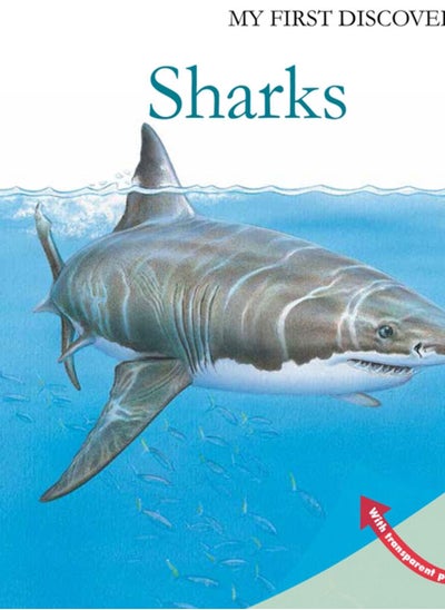 Buy Sharks in UAE