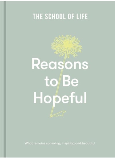 Buy Reasons to be Hopeful : what remains consoling, inspiring and beautiful in UAE