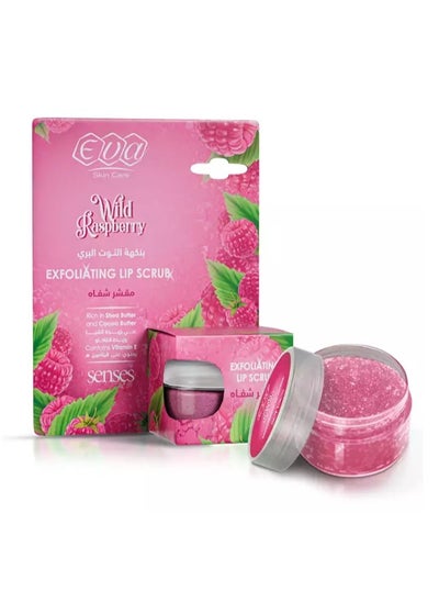 Buy Skin Care Exfoliating Lip Scrub Wild Raspberry Flavored - 20gm in Egypt