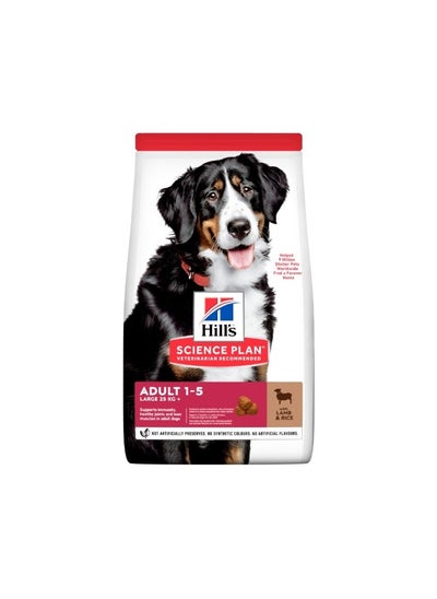 Buy Hills  Science Plan Large Breed Adult Dry Dog Food With Lamb & Rice 14Kg in UAE