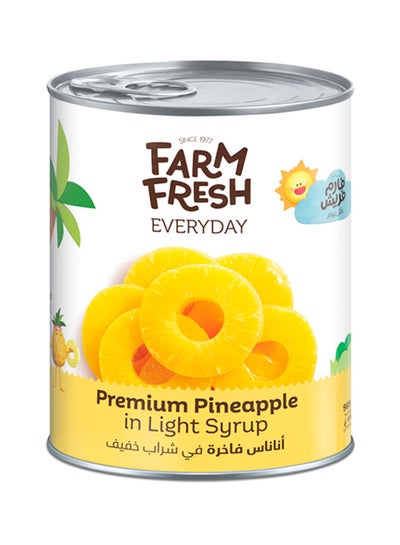 اشتري Pineapple Slices In Light Syrup 565grams في الامارات