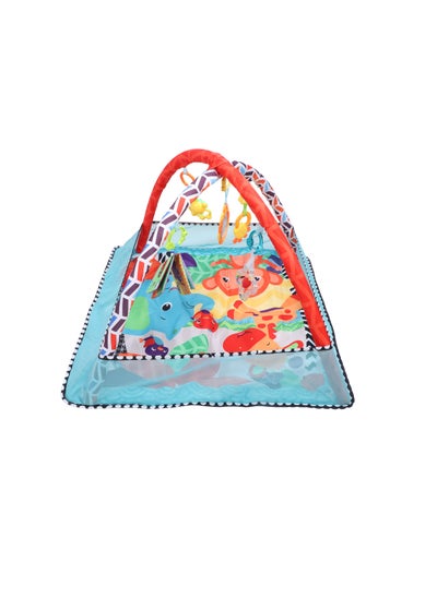 Buy Baby Play Mat with Cloth Book, Rattle, Mirror, Sensory Motor Skills for Newborns in UAE