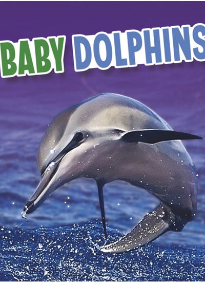 Buy Baby Dolphins in UAE