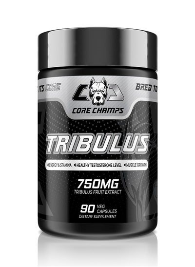 Buy Core Champs TRIBULUS 750 mg 90 Veg Capsules in UAE