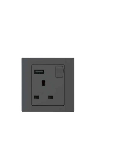 اشتري RR Switched Socket With Usb-1G-13 Ax-Rrvn6679-BLACK في الامارات