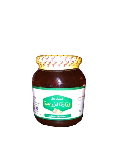 اشتري Citrus Honey BEE 1KG في مصر