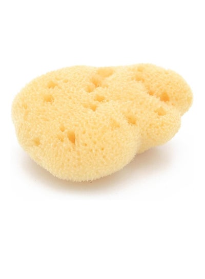 اشتري Fine Silk Sea Sponge 100% Natural Size-7 Piece Of One في الامارات