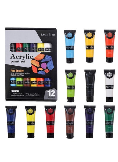 Buy 30ml 12 Acrylic Paint For Students And Artists in Saudi Arabia