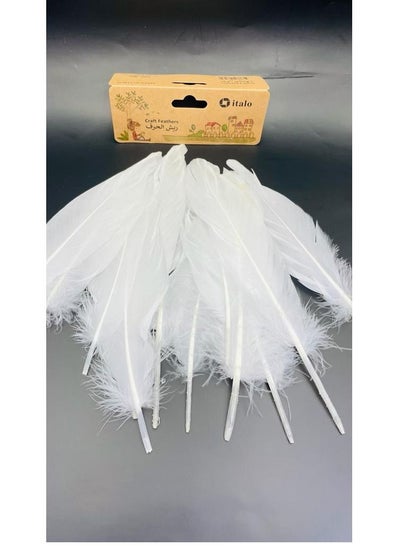 Buy 12 Pcs Feathers Crafts Goose Feathers for DIY Earrings Craft For Home Wedding Baby Shower Decorations White in UAE
