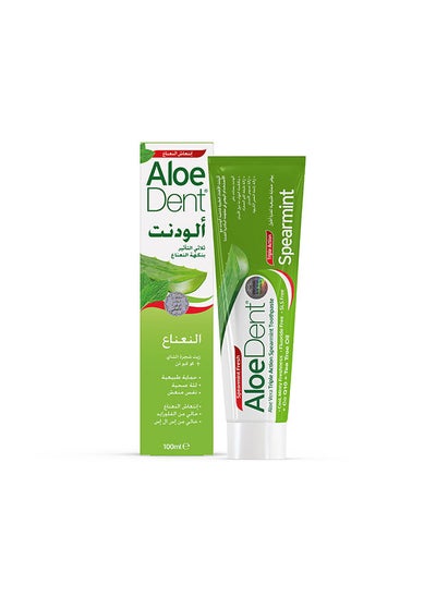 Buy Toothpaste Triaction Spearmint - 100 Ml in Saudi Arabia