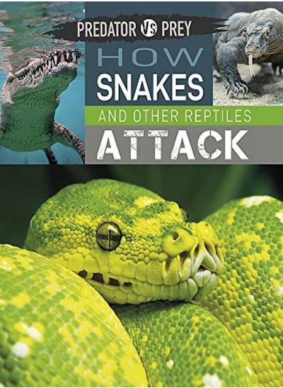 Buy How Snakes and other Reptiles Attack in UAE