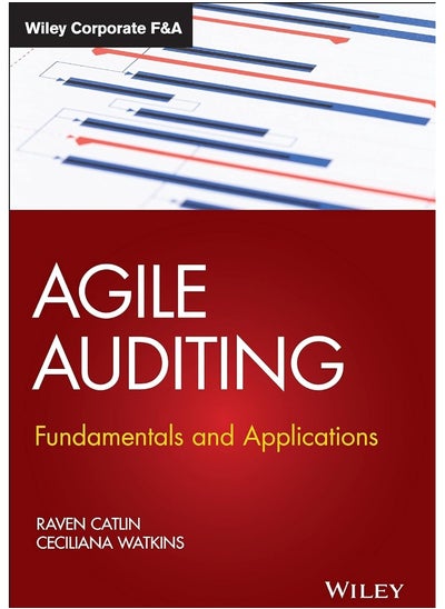 اشتري Agile Auditing: Fundamentals and Applications في الامارات