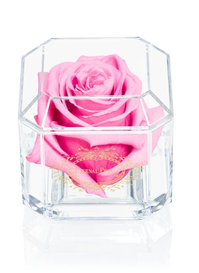 Buy Eternal Petals, A 100% Real Rose That Lasts Years - Gold Solo (Pink) in UAE