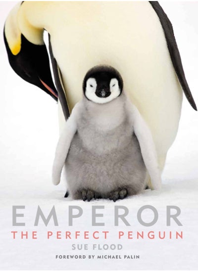 Buy Emperor : The Perfect Penguin in UAE