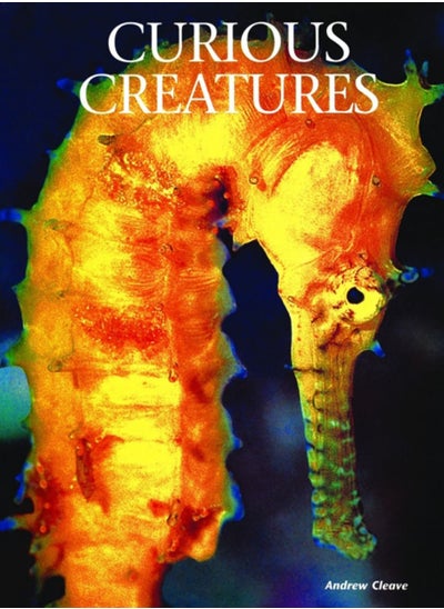 اشتري Curious Creatures في الامارات