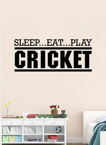 Buy Eat Sleep Play Cricket Quote Wall Decal - Wall Arts Home Décor - Wall Sticker, 70x30 cm by Spoil Your Wall in UAE