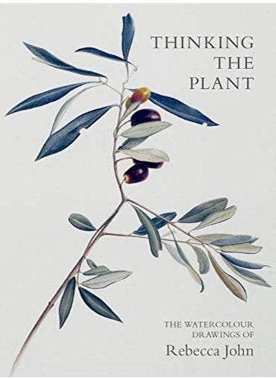 Buy Thinking the Plant : The Watercolour Drawings of Rebecca John in UAE