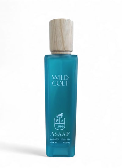 Buy WILD COLT ASAAF 200 ML in Saudi Arabia