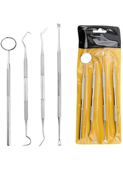 Buy 4 in 1 Professional Stainless Steel Teeth Cleaning Kit Dental Tool for Checking in UAE