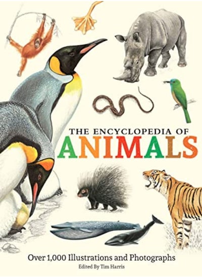 Buy The Encyclopedia Of Animals More Than 1000 Illustrations And Photographs in UAE