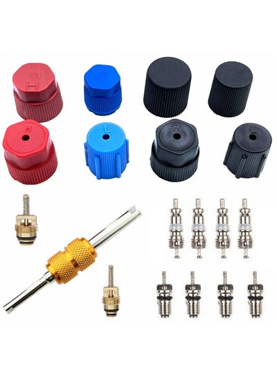 اشتري Air Conditioning Valve Core Kit, Car and Home AC R12 R134a Teflon Seal Refrigeration Schrader Valve Core with Valve Stem Core Tool Air Conditioning AC System Charging Port Seal Caps Kit في الامارات