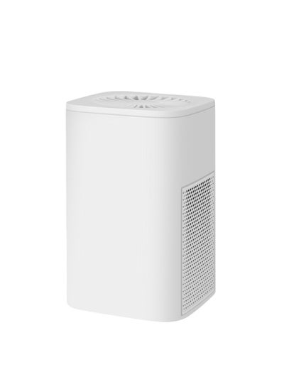 Buy Air Purifier with H13 True HEPA Filter | for Allergens, Wildfire，Dust, Odors, Pollen, Pet Dander | Quiet 99.9% Removal to 0.1 Microns | White in UAE