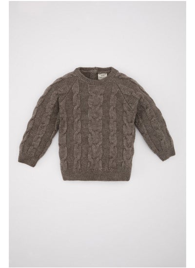 اشتري Babyboy Tricot Regular Fit Bike Neck Long Sleeve Pullover في مصر