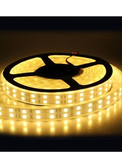 اشتري LED Double Warm Light Strip-5M-waterproof Tape في مصر