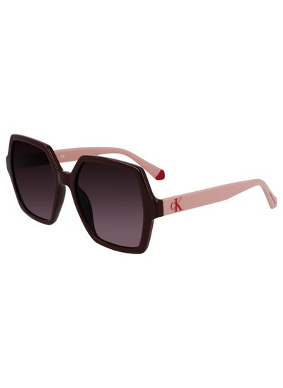 اشتري Calvin Klein Jeans CKJ21629S 603 55 Women's Sunglasses في الامارات