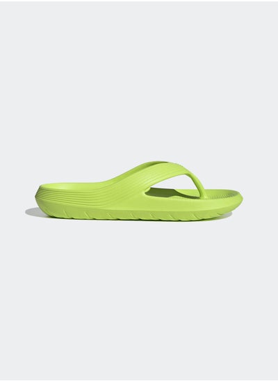 Buy Adicane Flip-Flops in Egypt