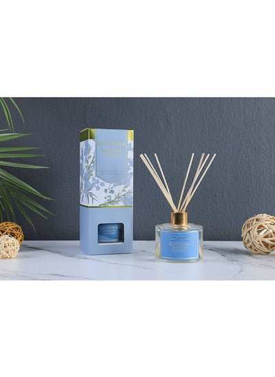 Buy Euphoria Sparkling Midnight Reed Diffuser 200ml Clear in UAE