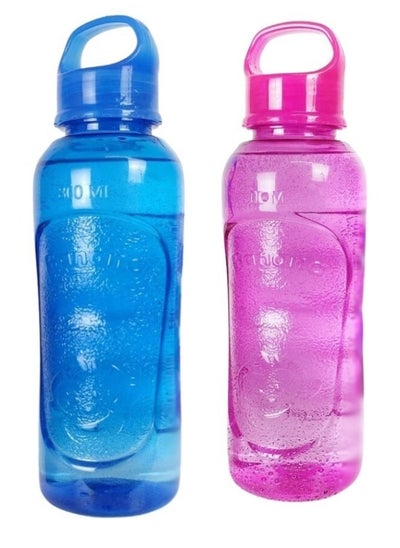 Buy 2 pieces of 800ml plastic water bottle in Egypt