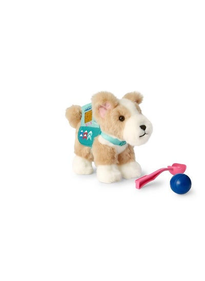 اشتري 2022 Girl Of The Year Corinne’S Dog With Backpack Includes A Teal Backpack, Ball Thrower Toy, Ball, And A Bag Of Pretend Dog Treats في الامارات