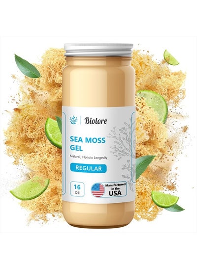 Buy Wildcrafted Sea Moss Gel - Supercharge Health with Irish Seamoss - with Essential Vitamins & Minerals - Antioxidant-Rich Vegan Superfood for Immune Support, Energy (Original, 16 oz) in UAE