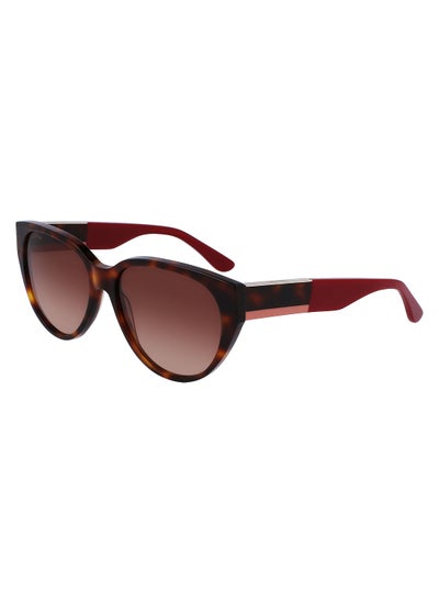 Buy Full Rim Acetate Oval Lacoste Suns L985S 5916 (240) Tortoise in Saudi Arabia