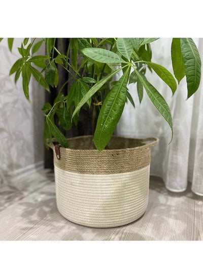 Buy Ash Basket in Egypt