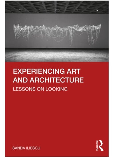 Buy Experiencing Art and Architecture : Lessons on Looking in UAE