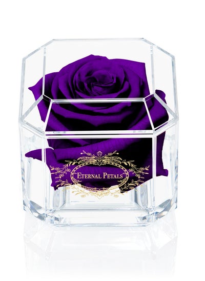 Buy Eternal Petals,  A 100% Real Rose That Lasts Years - Gold Solo (Purple) in UAE