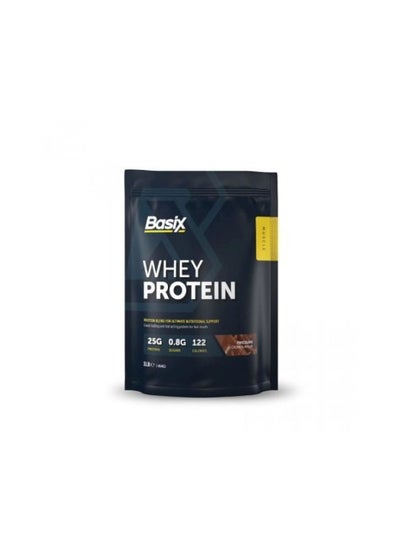 Buy Basix Whey Protein Chocolate Flavor in Saudi Arabia