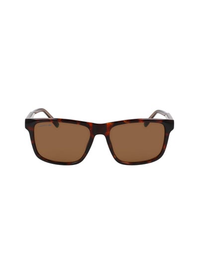 اشتري FULL RIM BIO INJ-G820 MODIFIED RECTANGLE LACOSTE SUNS L6025S  5617 (219) HAVANA BROWN في الامارات