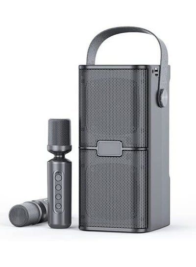 Buy YS 218 Portable Wireless Bluetooth Karaoke Speaker Stereo Bass Dual Microphone in UAE