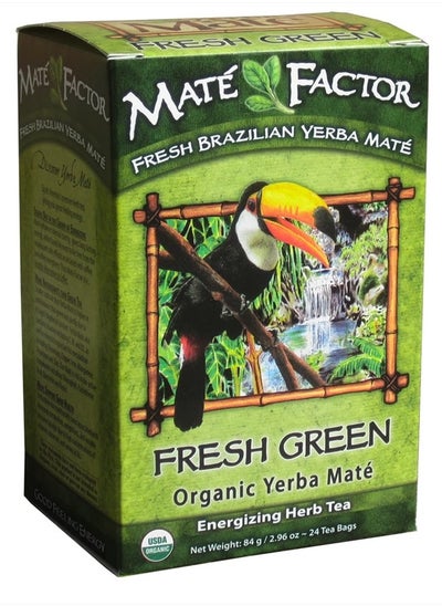 Buy The Mate Factor Yerba Mate Energizing Herb Tea Bag, Organic Fresh Green, 24-Count Box 2.96 oz in UAE