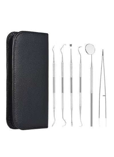 Buy ORiTi 6-piece Mirror Odontoscope Tooth Scraper Waxing Carving Kit for Dental Care Silver 0.185kg in UAE