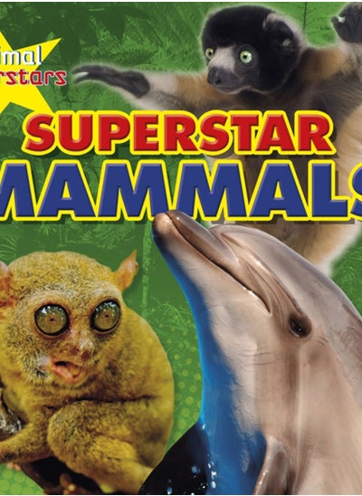 Buy Mammal Superstars in UAE