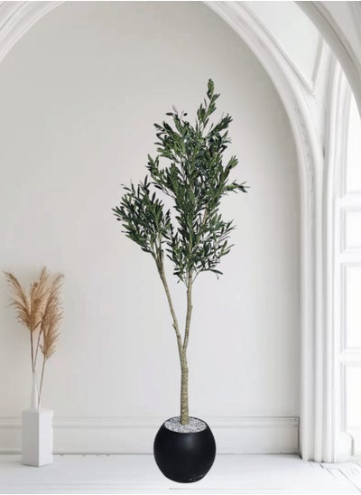 Buy Fruitful olive tree with a large black pot with an attractive design, make your home more elegant, 185 cm in Saudi Arabia