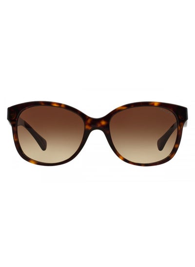 Buy Full Rim Cat Eye Sunglasses 5191,55,1378,13 in Egypt