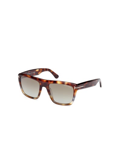 اشتري Men's Square Shape Acetate Sunglasses FT107755G55 Lens Size: 55 Millimeter - Dark Havana في الامارات