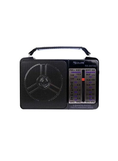 Buy RX-607AC Radio Works With Electricity, Or batteries 4-bands AM, FM, SW1, SW2 For Office And Home - Black in Egypt