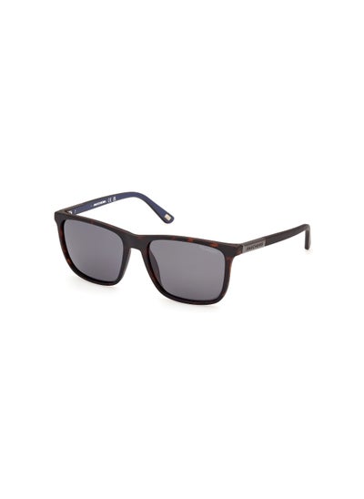 Buy Men's Rectangular Shape  Sunglasses SE636252D57 Lens Size: 57 Millimeter - Dark Havana in Saudi Arabia