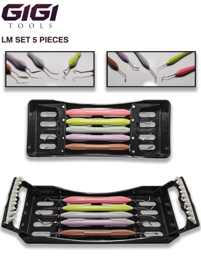 LM Arte Restauration ErgoMax Handgriff Composite Dental Filling Scaler